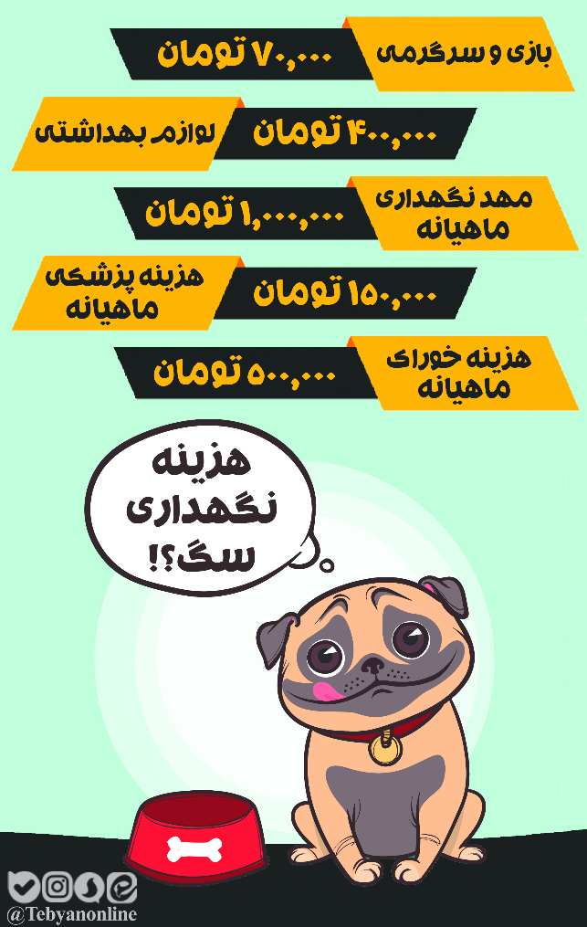 از جراحی&zwnj;های زیبایی تا اقامت در هتل پنج ستاره/ وقتی هزینه نگهداری یک سگ از حقوق یک کارمند بالاتر می&zwnj;زند!