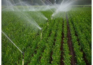افزایش اجرای طرح آبیاری اراضی کشاورزی در استان کردستان