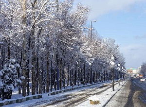 تأخیر در فعالیت مدارس به دلیل سرما