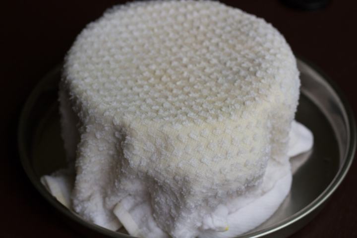 آموزش تصویری کاشت سبزه برای سفره هفت سین آموزش تصویری کاشت سبزه برای سفره هفت سین