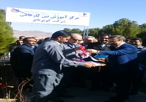 مشارکت بخش صنعتی در آموزش قطعا مفید است