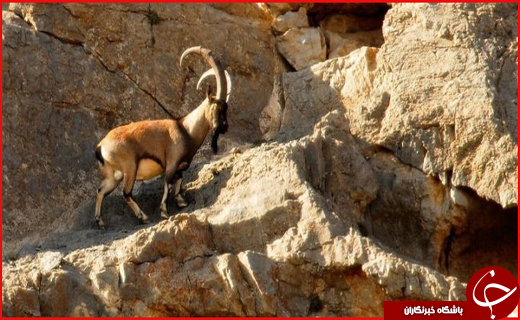 سفر به سوئیس ایران در ایام نوروز + تصاویر و فیلم