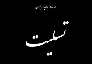 استاندار حادثه سقوط بالگرد اورژانس را تسلیت گفت