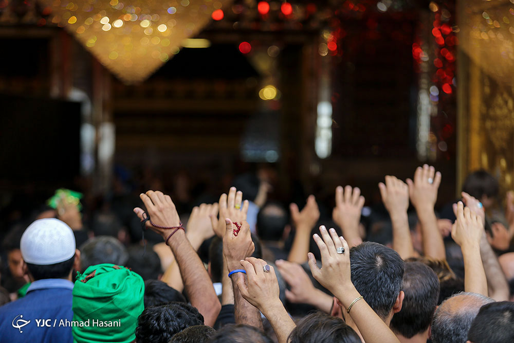 نظر اهل سنت درباره امام علی (ع)