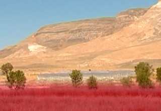 روستایی که نرخ بیکاری در آن صفر است!