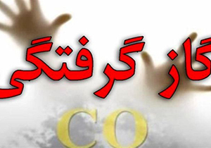 مسمومیت ۴ نفر بر اثر گاز گرفتگی
