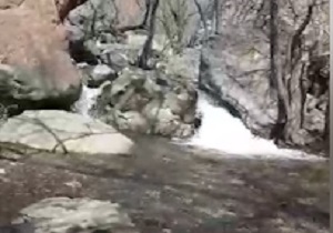 لذت بودن در کنار رودخانه‌ زیبای "دارآباد" + فیلم