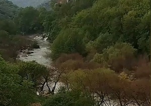 نگاهی به مناظر زیبا و سرسبز پل طبیعت "دورود" + فیلم