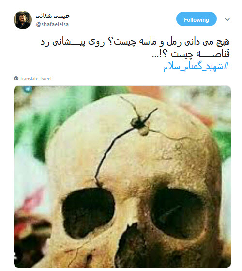 #شهید_گمنام_سلام | استقبال پرشور کاربران از پیکر پاک شهدای گمنام +تصاویر
