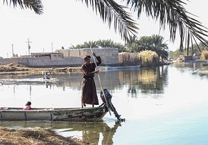 نیمی از تالاب شادگان آبگیری شد