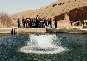 شهرستان خاتم مستعد تکثیر و پرورش ماهی تیلاپیا است