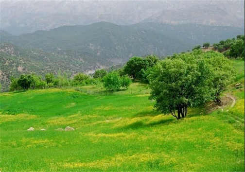طبیعت نقاشی چشم نواز بر بوم زمین