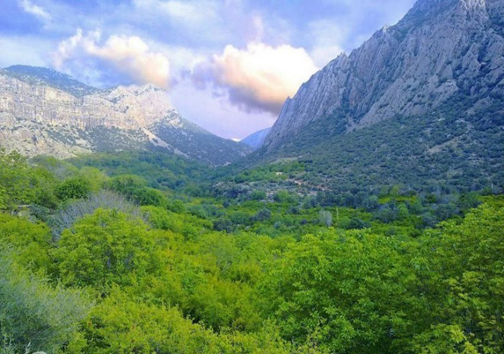 طبیعت نقاشی چشم نواز بر بوم زمین