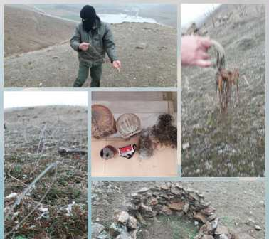 شکارچیان زنده گیرپرنده در میاندوآب ناکام ماندند
