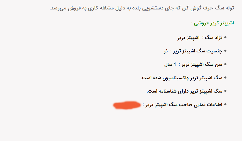 از واگذاری به شرط ملاقات تا فروش به دلیل مشغله کاری/فرزند خواندگانی که مجانی واگذار می&zwnj;شوند!