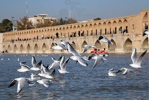 تصویری زیبا از زاینده رود
