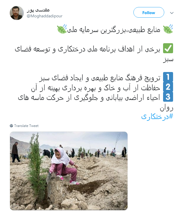 #درختکاری|
