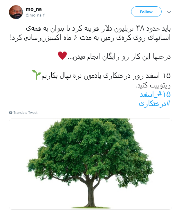 #درختکاری|