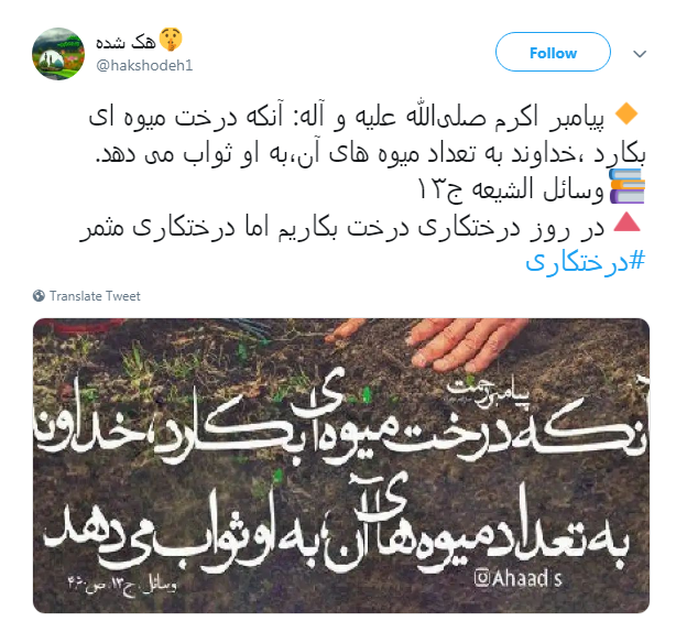 #درختکاری|