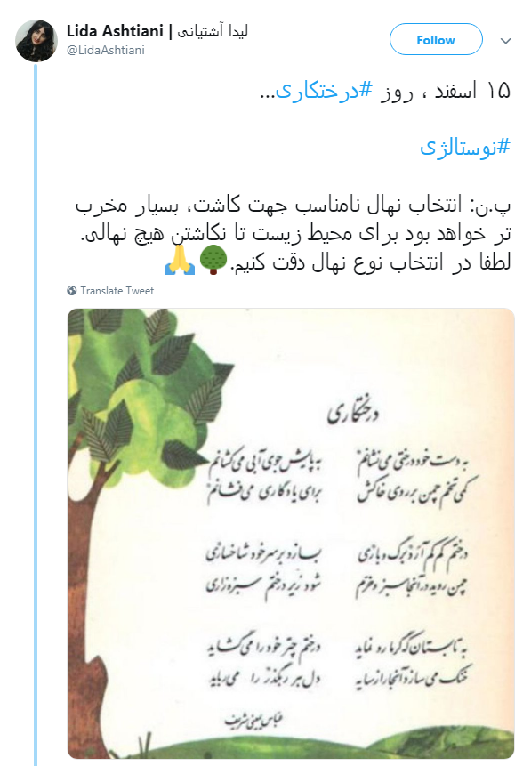 #درختکاری|