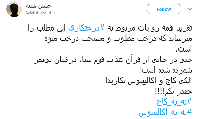 #درختکاری|