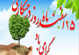 توزیع ۴۰۰ هزار اصله درخت در فارس