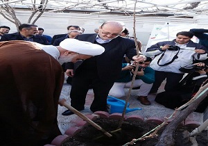 کاشت نهال در منزل شهید حسین‌پور در قزوین