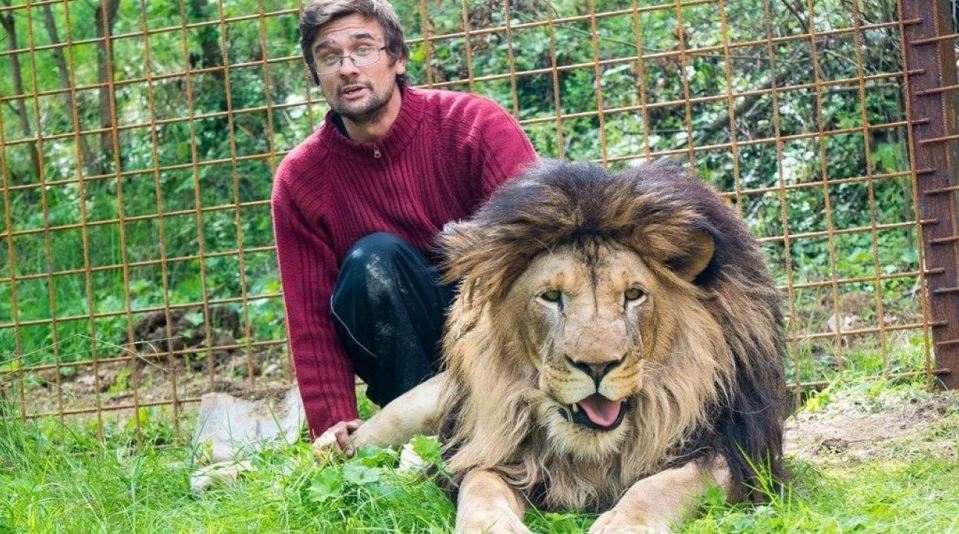 حمله مرگبار شیر به صاحبش در درون قفس!/////