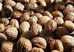 کشف گردوی خارجی قاچاق در تویسرکان