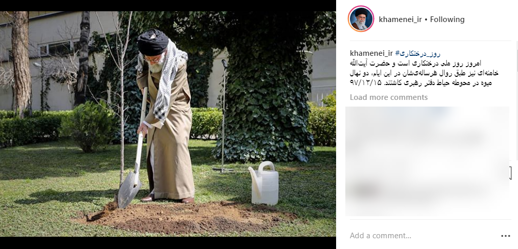 تصویری از رهبر انقلاب در روز درختکاری