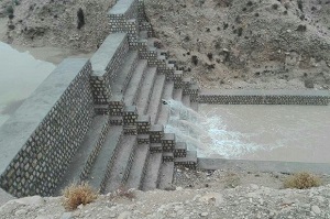 ۱۰ درصد وسعت استان بوشهر جنگلی است/ سالانه بیش از ۱.۵ میلیارد مترمکعب روان&zwnj;آب هدر می&zwnj;رود