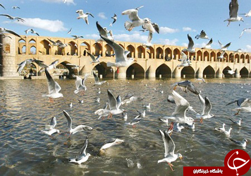 جنایت مسلحانه به خاطر پیامک&zwnj;های زشت! /عروس آذربایجان جانی دوباره گرفت/حیات نوروزی زنده&zwnj;رود؛ سیاسی است یا گردشگری؟&zwnj;