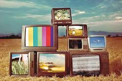 بازگشت وحید یامین پور با سری جدید «جهان آرا» / فیلم سینمایی «پایتخت» ساخته می‌شود