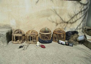 دستگیری شکارچی  متخلف در دیواندره