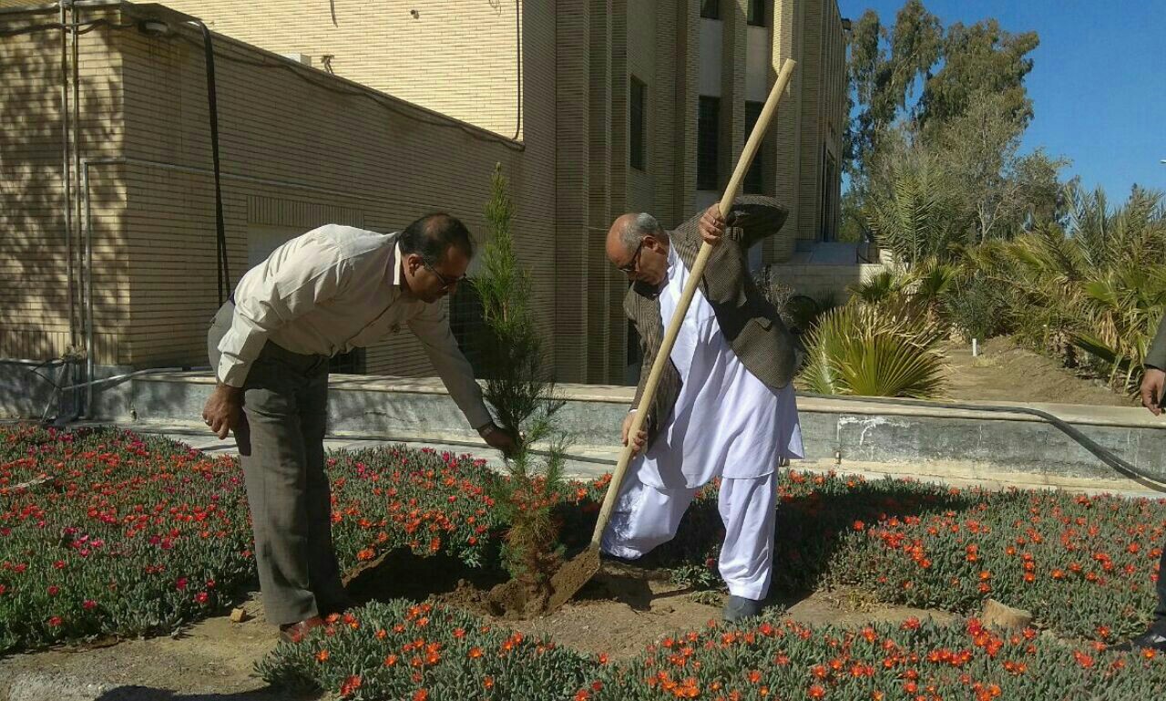 غرس نهال در سیستان و بلوچستان به مناسبت روز درختکاری