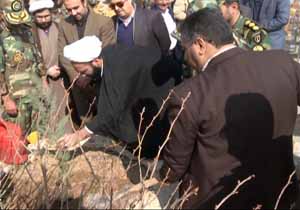 غرس ۱۵ هزار اصله نهال در هفته منابع طبیعی در مهاباد