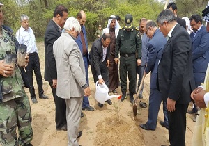 مسئولان حمیدیه نهال کاشتند