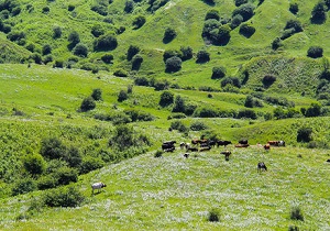 صیانت از منابع طبیعی در اردبیل وظیفه همگانی است