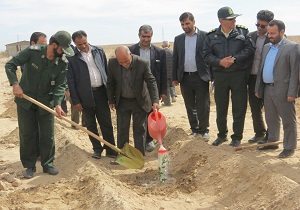 درختکاری در ایران پشتوانه ملی و سنتی تاریخی دارد