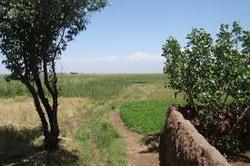 پیشکشی ۶۵ هزار میلیارد ریال تسهیلات برای روستائیان