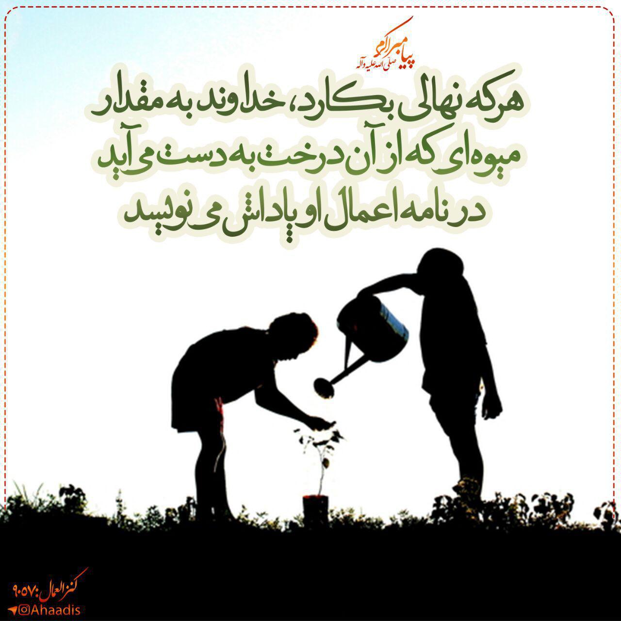 حدیث