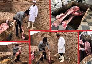 معدوم سازی یک نفر شتر در قاین