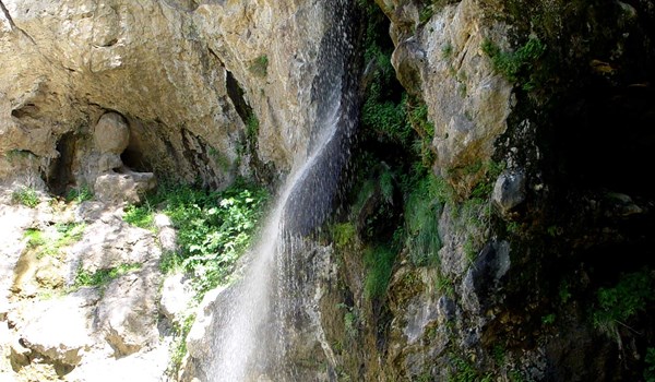 شهر پسته&zwnj;های طبیعی و خندان
