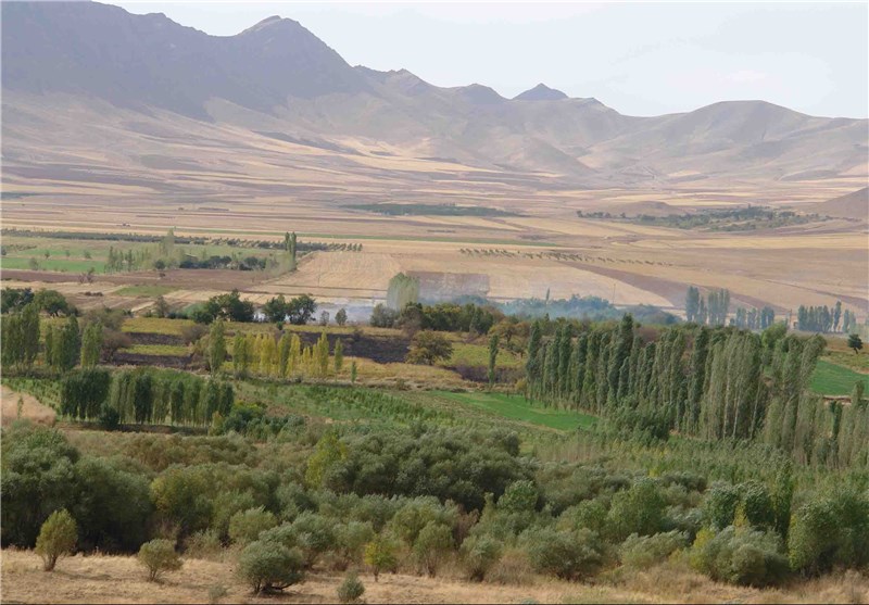 شهر پسته&zwnj;های طبیعی و خندان