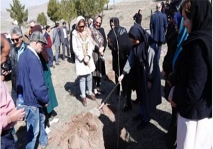 بانوان قزوینی ۴۰ اصله نهال کاشتند