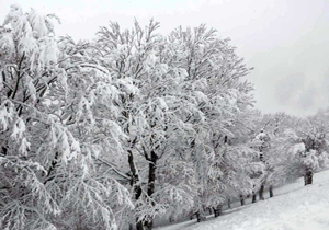پیش بینی بارش برف و باران در چهارمحال و بختیاری
