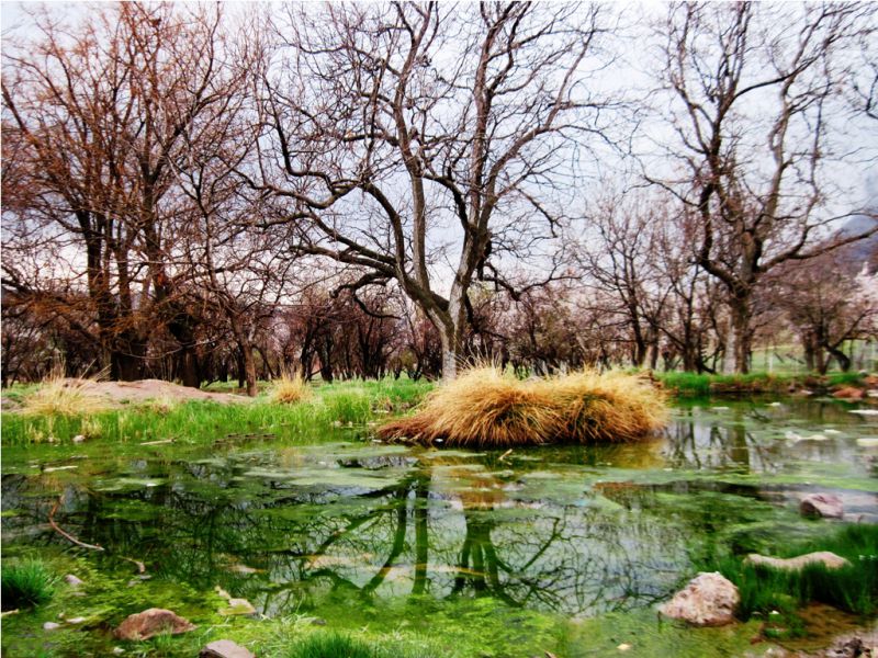 دلیجان شهر جاذبه های تاریخی و طبیعی