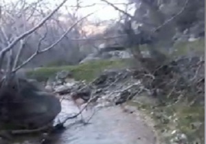 طبیعت زیبای روستای "بوان" + فیلم