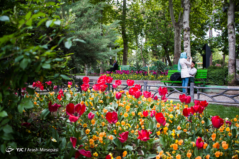حافظ برای بهار چه اشعاری سروده است؟