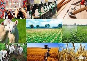 جهاد کشاورزی خرم آباد در جذب اعتبارات پایدار روستایی و عشایری رتبه نخست را کسب کرد